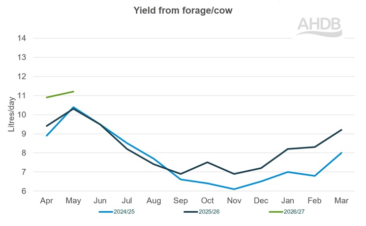 A line graph up to May 2026 detailing Kingshay yield from forage per cow graph last 3 years.